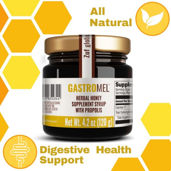 Version 1.0.0 Miel botánica prebiótico GastroMEL para salud intestinal