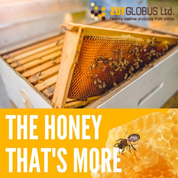 Version 1.0.0 miel con extractos botánicos activos Zuf Globus VirMEL