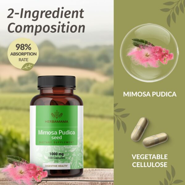 Version 1.0.0 Mimosa Pudica polvo en cápsulas para limpieza y apoyo digestivo