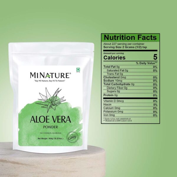 Minature aloe vera polvo natural hojas frescas