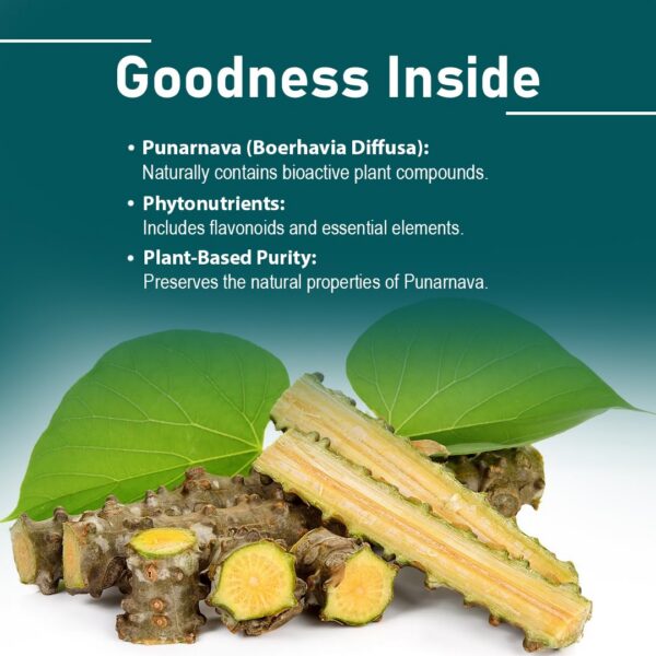 Tabletas Giloy en envase