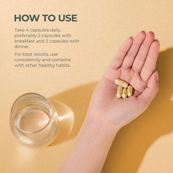 Minerales magnesio zinc manganeso