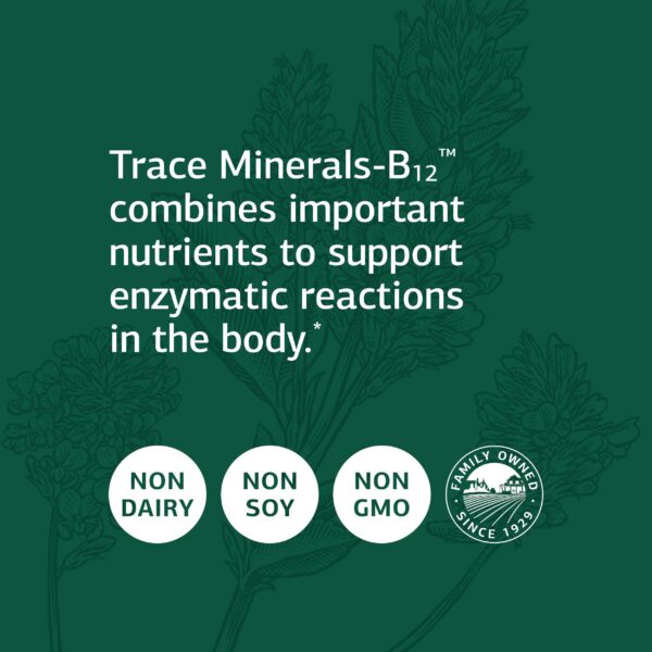 Minerales Traza-B12 Standard Process en mano