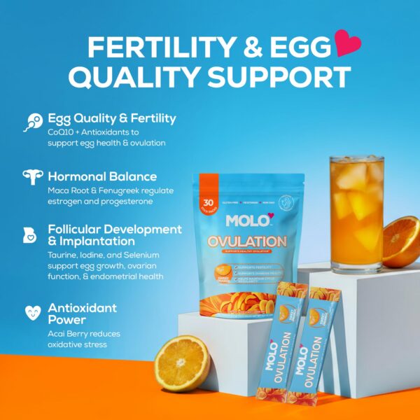 MOLO Conception envase de viaje