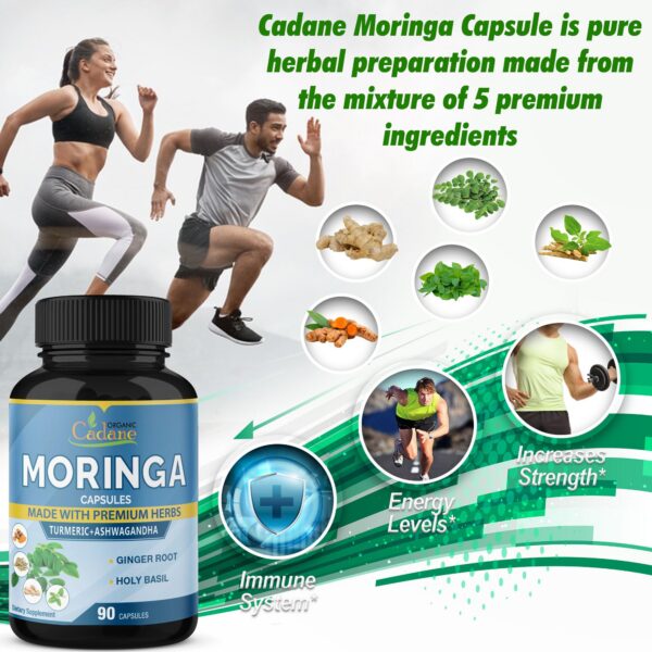 Moringa cápsulas apoyo energía y sistema inmune