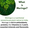 Cápsulas de moringa rica en antioxidantes para salud digestiva y detox