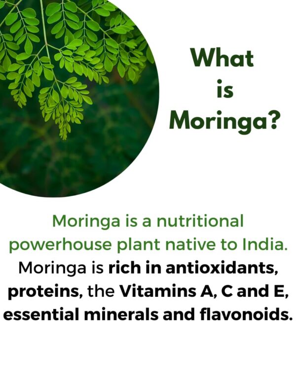 Cápsulas de moringa rica en antioxidantes para salud digestiva y detox