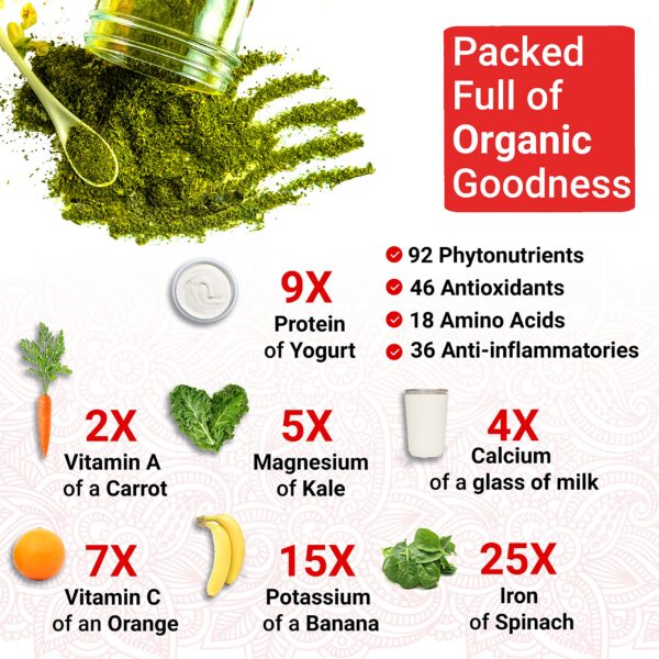 Hojas de moringa en muestra