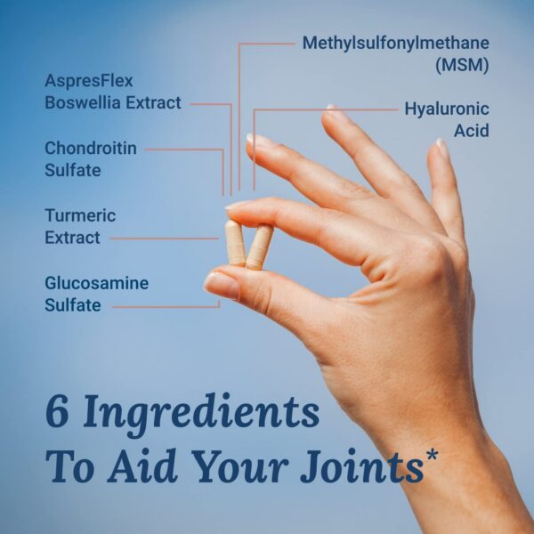 Etiqueta frontal MoveWell