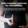 Panel de ingredientes de Movita Prenatal Multivitamin