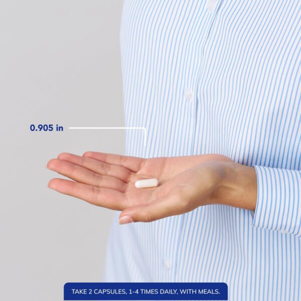 Version 1.0.0 Etiqueta de ingredientes MSM Pure Encapsulations