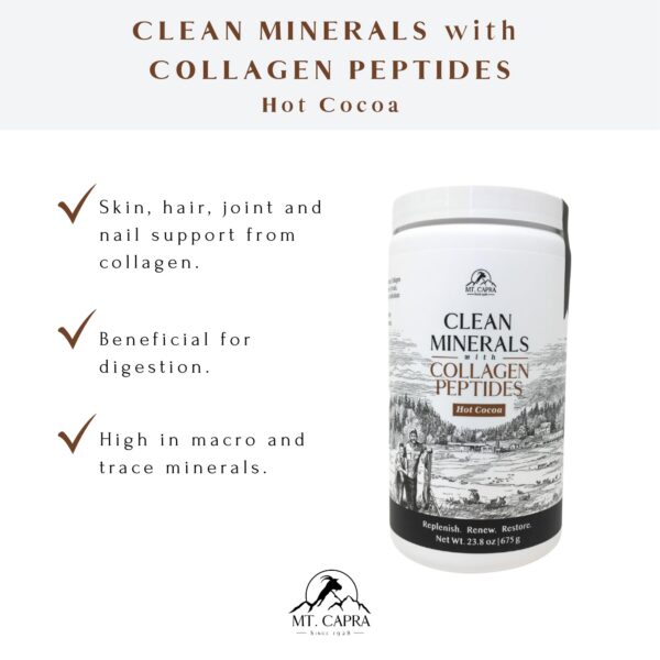 Version 1.0.0 Cacao caliente preparado con minerales