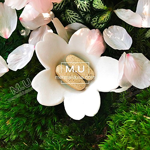 Version 1.0.0 Etiqueta trasera de pastillas M.U