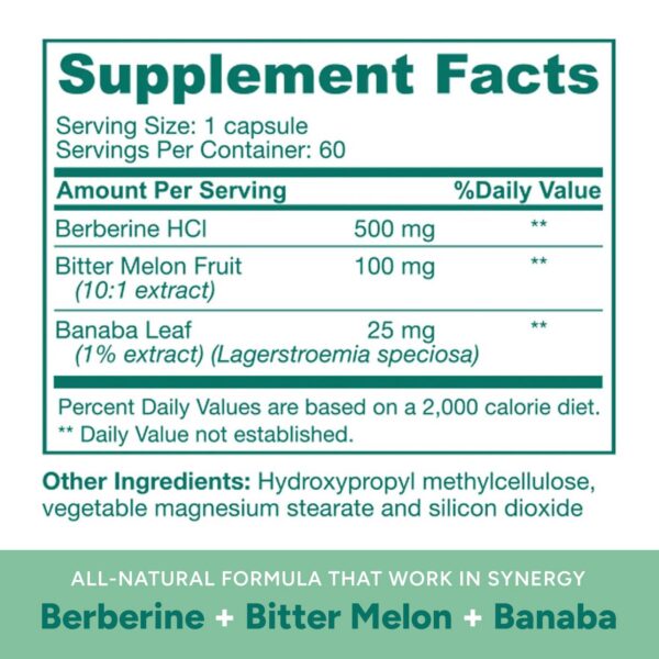 Version 1.0.0 Multivitamínico Aja Nutrition Berberine + antioxidante