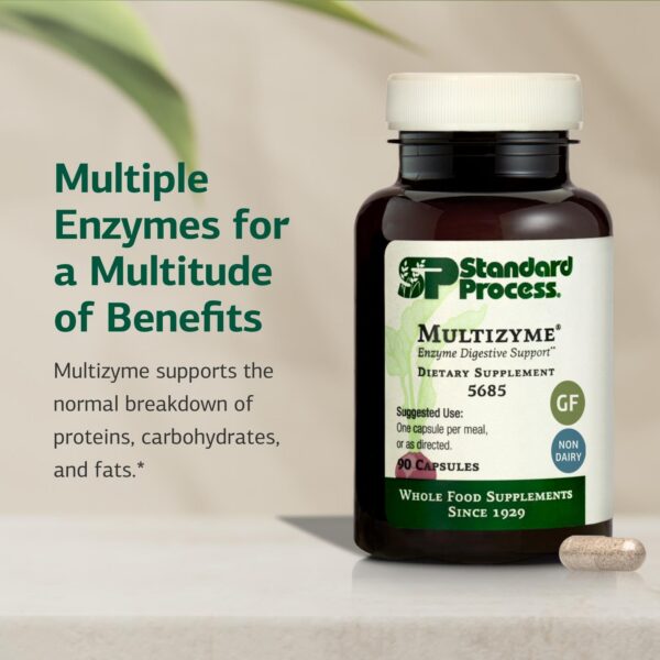 Version 1.0.0 Cápsulas Multizyme de origen vegetal