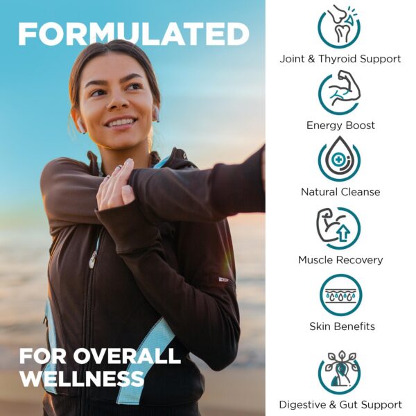 Conjunto Nutrivein para apoyo inmunitario y detoxificación