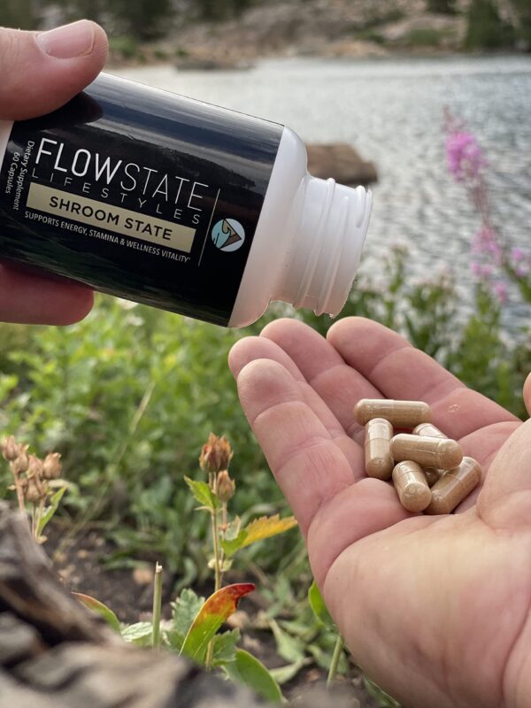 Mushroom 10X mejora la función cognitiva y el estado de ánimo