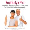 MYBODYRX Endocalyx Pro etiqueta