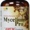 Version 1.0.0 Mycelium Pro Ultimate Immune AMFM cápsulas