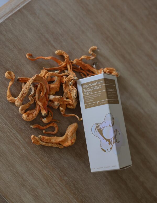 Version 1.0.0 Frascos tintura Cordyceps militaris y ginseng Mycolove Farm