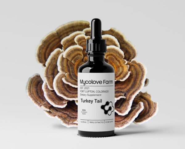 Version 1.0.0 Botella de tintura orgánica cola de pavo y echinacea Mycolove Farm