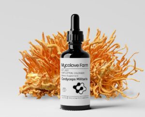 Version 1.0.0 Mycolove Farm tintura orgánica Cordyceps y Ginseng Siberiano