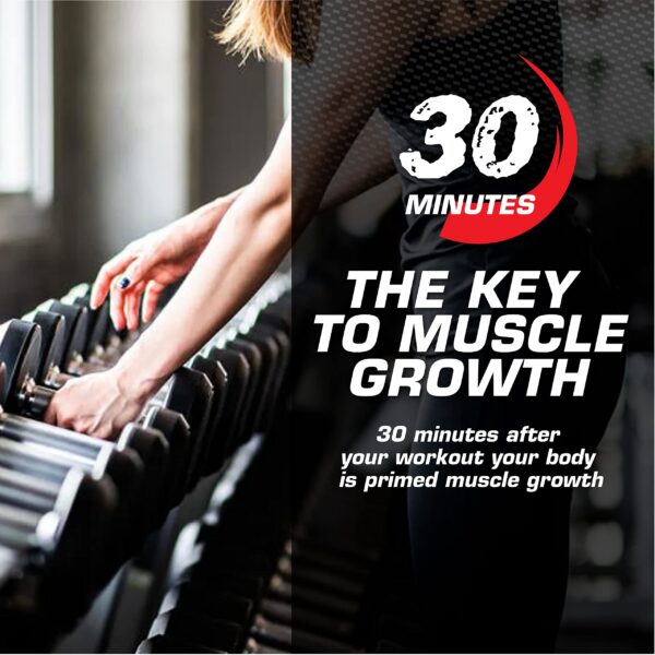 Myogenix Myolean mezcla de proteínas en polvo