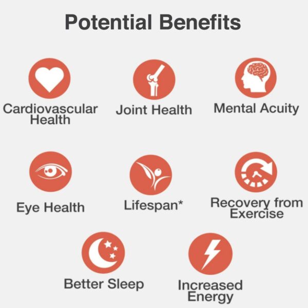 Aceite de oliva MyVitalC en botella de vidrio con protección UV