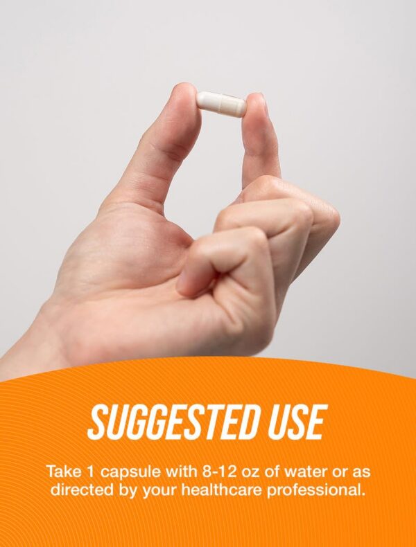 Detalle de cápsulas BulkSupplements N-Acetyl L-Glutamine