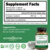 Detalle de la etiqueta NAC 600 mg