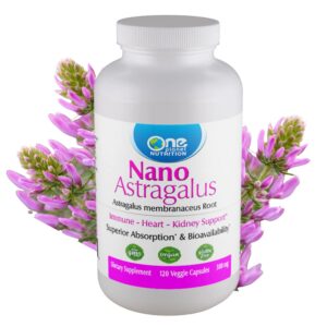 Version 1.0.0 Frasco de cápsulas One Planet Nutrition Nano Astragalus 500 mg para salud inmune