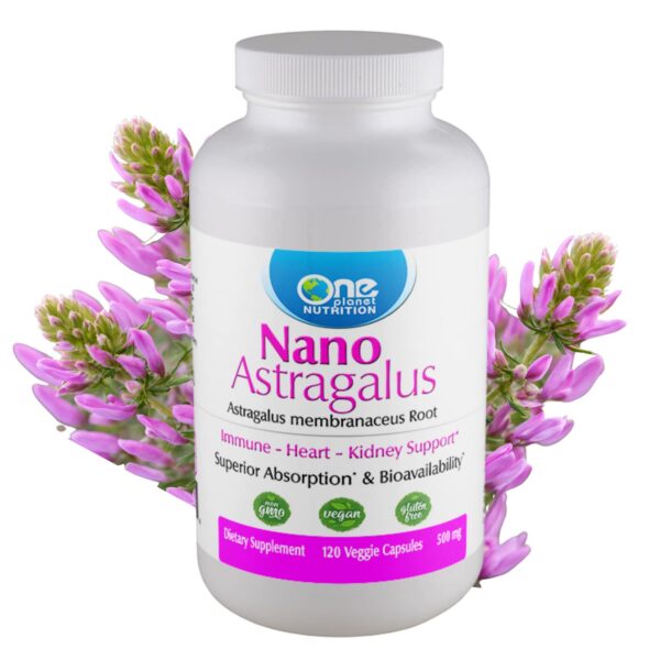 Version 1.0.0 Frasco de cápsulas One Planet Nutrition Nano Astragalus 500 mg para salud inmune