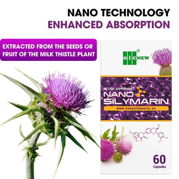 cápsulas nano silimarina para estabilidad celular hepática