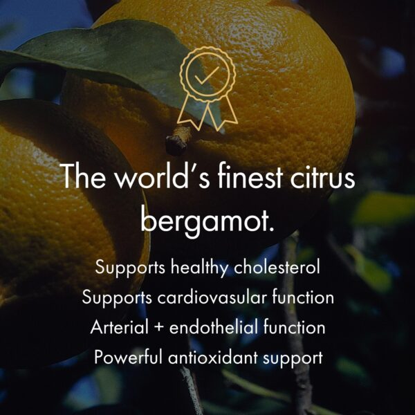 Vista lateral de envase NAOMI