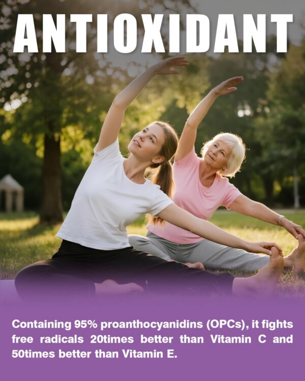 Frascos y etiquetas de moringa oleifera