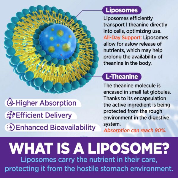 Version 1.0.0 Gominolas L-Theanine en frasco