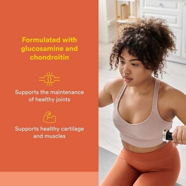 Etiqueta Natural Factors Joint MSM Formula glucosamina condroitina