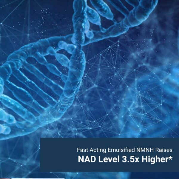 Detalle de la formulación liposomal