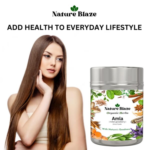 Caja y envase de amla Nature Blaze