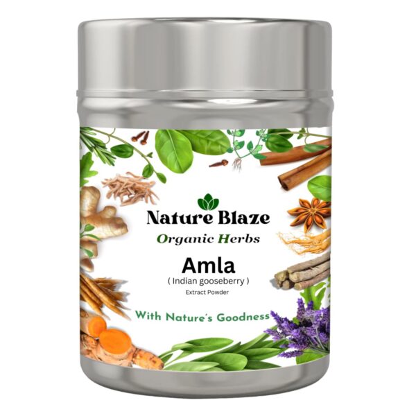 Etiqueta de polvo de amla Nature Blaze