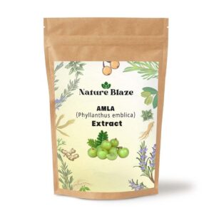 Nature Blaze polvo amla orgánico etiqueta frontal