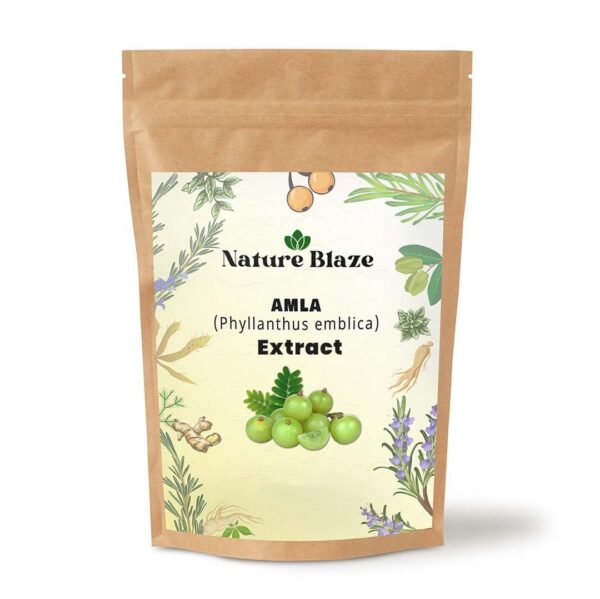 Nature Blaze polvo amla orgánico etiqueta frontal