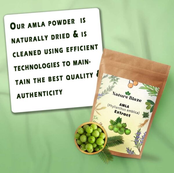 Nature Blaze polvo amla orgánico frasco