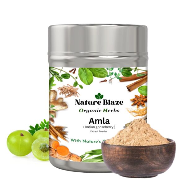 Polvo de amla orgánico Nature Blaze en lata