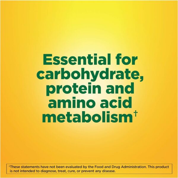 Suplemento-vitamina-b6-nature-made-botella