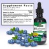 Frasco de extracto de arándano sin alcohol 1000 mg 2 oz