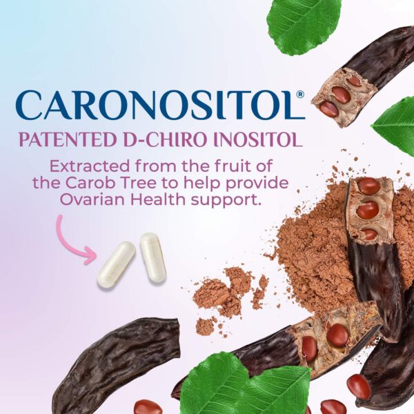 Empaque exterior del producto