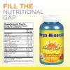 Capsulas Nature's Life Mega Minerals