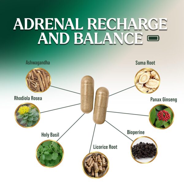 Cápsulas Nature's Nutrition Cortex Complex