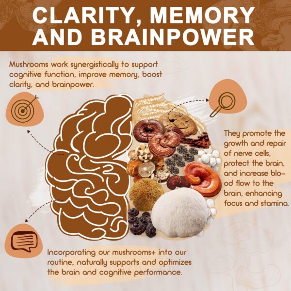 Version 1.0.0 Beneficios de NATURE TARGET Complejo de Hongos para enfoque